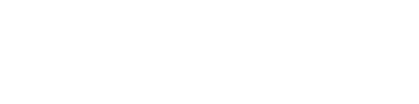 logo bestproxy